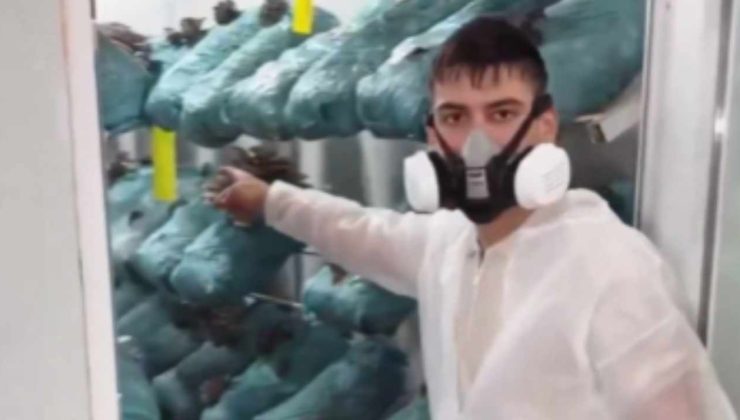Avukatlığı bıraktı cübbesini kaldırdı: Şimdi ayda 250 bin lira kazanıyor