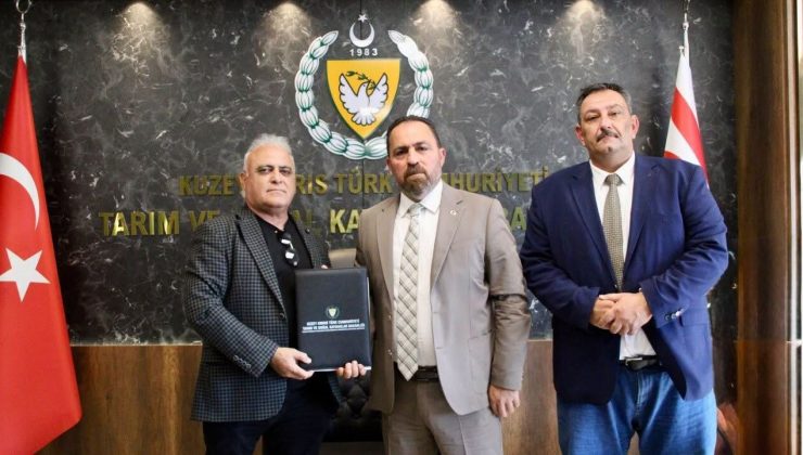Bakan Çavuş’tan Dikmen’de taşkın riskini azaltacak tarihi projeye imza