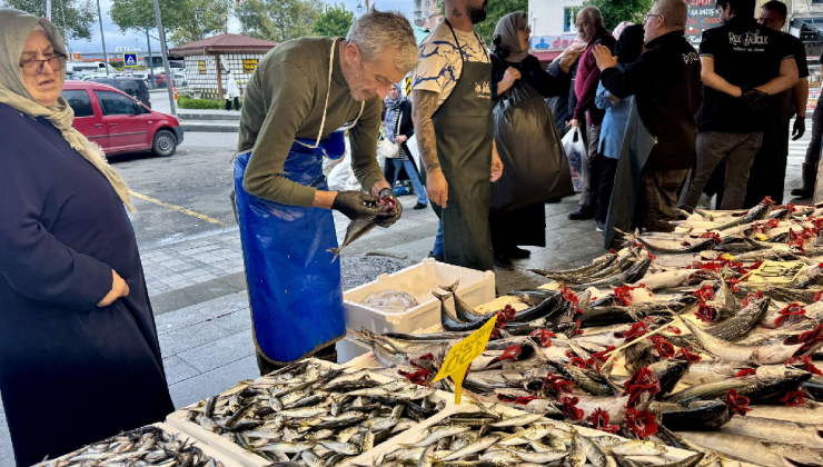 Balık tezgahlarında sezonun yıldızı belli oldu: Tanesi 125 lira