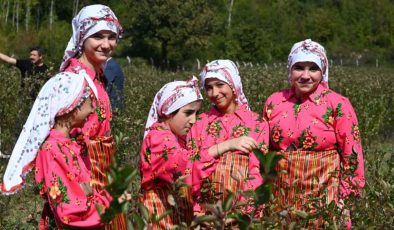 Bir fidan dikip köşeyi döndüler: Yıllardır boş kalan tarlada paraya para demiyorlar