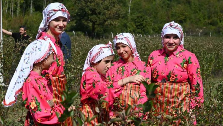 Bir fidan dikip köşeyi döndüler: Yıllardır boş kalan tarlada paraya para demiyorlar