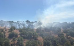 Bolu’da yangın; otlar tutuştu, alevler ağaçlara sıçradı