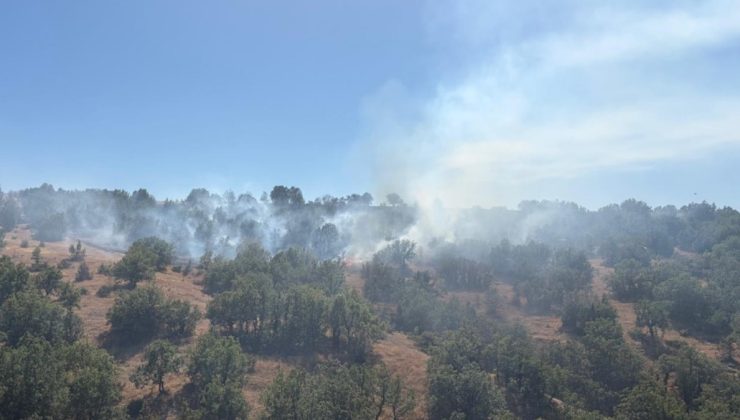 Bolu’da yangın; otlar tutuştu, alevler ağaçlara sıçradı