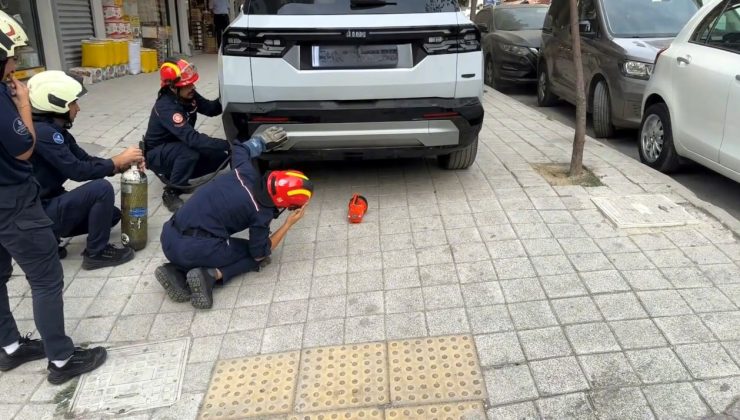 Cipin arkasına sıkışan kedi itfaiyenin müdahalesiyle kurtarıldı