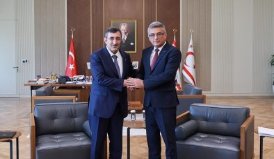 Cumhurbaşkanı Yardımcısı Yılmaz, KKTC Cumhurbaşkanı Erhürman ile görüştü