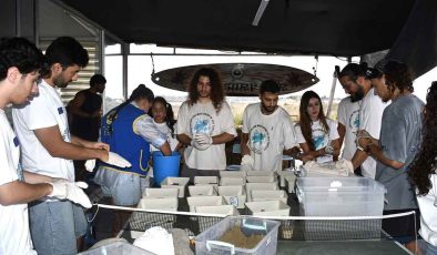 Daü-SAGEM öncülüğünde yavru deniz kaplumbağaları deniz ile buluştu