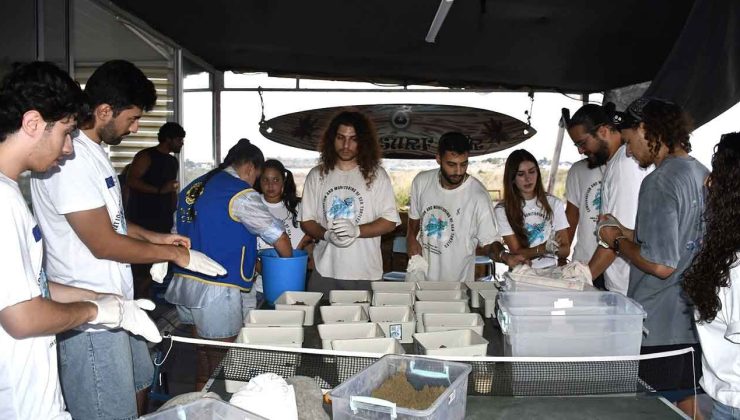 Daü-SAGEM öncülüğünde yavru deniz kaplumbağaları deniz ile buluştu