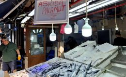 Ekmekten sonra 'askıda palamut' dönemi başladı