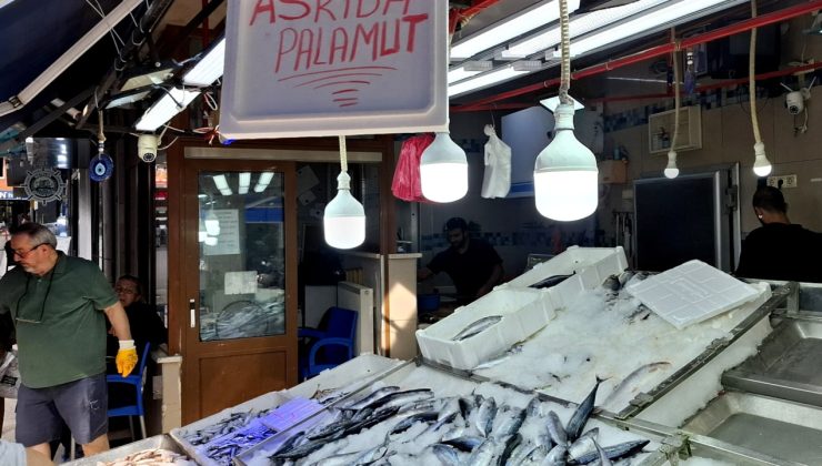 Ekmekten sonra 'askıda palamut' dönemi başladı