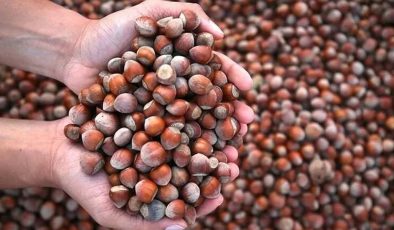 Fındıkta fiyat ve piyasa denetimi: Dört borsaya müfettiş görevlendirildi