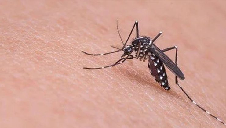 Gıda Mühendisleri Odası'ndan su ve gıda güvenlinin korunması uyarısı