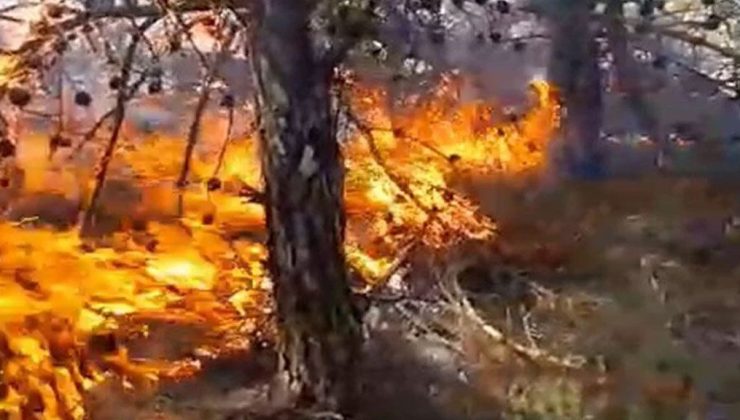 Güney'de yangın önlemede yapay zeka sistemi kurulacak