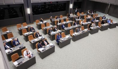 Güvenlik kamu görevlilerine ilişkin yasa tasarıları komiteye geri çekildi