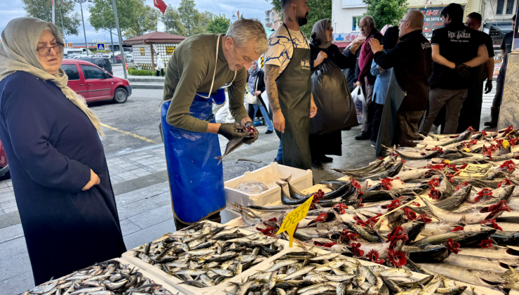 Hamsi bu sene kayboldu: Tezgahlara sadece o balık için akın etmeye başladılar