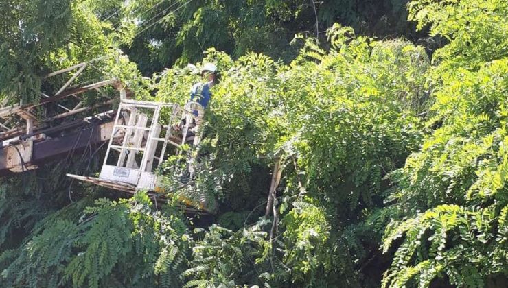Haspolat Ağıllar ve Levent Çiftliği’nde 2 saatlik elektrik kesintisi