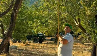 Hobi olarak başladı, mucizeyi başardı: Şimdi 15 ton hasat bekliyor