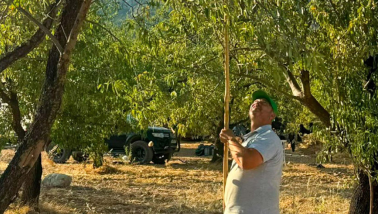 Hobi olarak başladı, mucizeyi başardı: Şimdi 15 ton hasat bekliyor