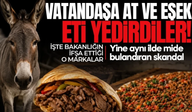 Kıymada at ve eşek eti çıktı! Yine aynı ilde mide bulandıran skandal: Bakanlık tek tek ifşa etti