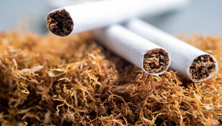 Derinya’da KKTC plakalı araçtaki 47 karton sigara ve 1,5 kilo tütüne el konuldu