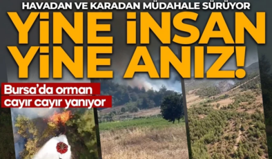  insan, yine anız! Bursa’da orman yangını