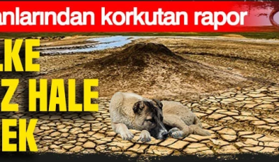 İki ülke yaşanmaz hale gelecek: Çinli bilim insanlarından korkutan rapor