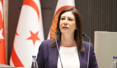 İncirli: Araştırma komitesi hızlı çalışmalı, belgelerle ilerlemeli