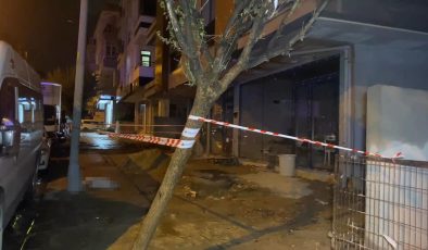 İstanbul'da sokaktaki gizli tehlike can aldı! Köpeğini gezdirmek için dışarı çıkmıştı…