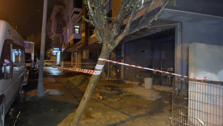 İstanbul'da sokaktaki gizli tehlike can aldı! Köpeğini gezdirmek için dışarı çıkmıştı…