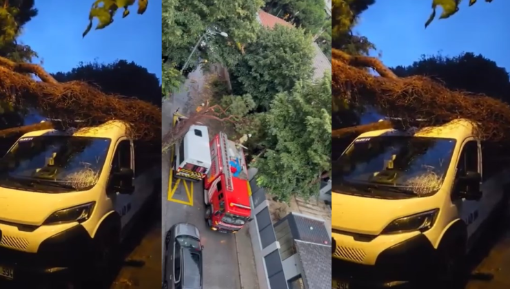Kadıköy’de fırtına dehşeti! Ağaç öğrenci servisinin üzerine devrildi