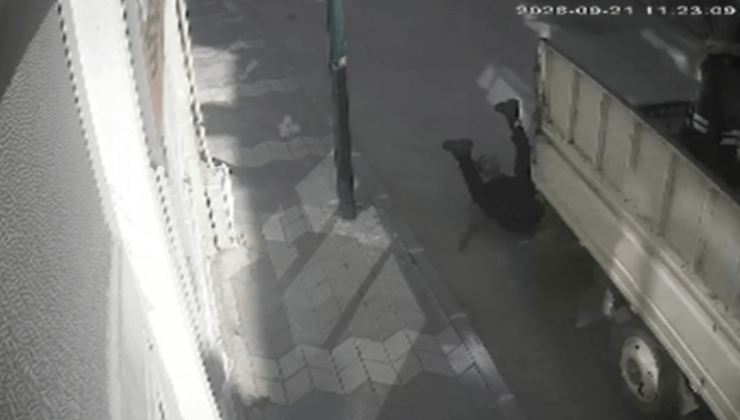 Kasisten geçen kamyonetin kasasından yola düşen kişi yaralandı!