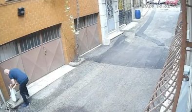 Kedilerin mama ve su kaplarını çöpe attılar