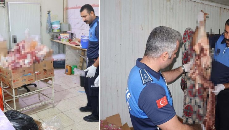 Pes dedirten görüntüler: Yakalanmasalardı vatandaş bunları yiyecekti