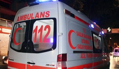 Sürekli havlayan çoban köpeğini takip eden aile, gördüğü manzara karşısında büyük acı yaşadı
