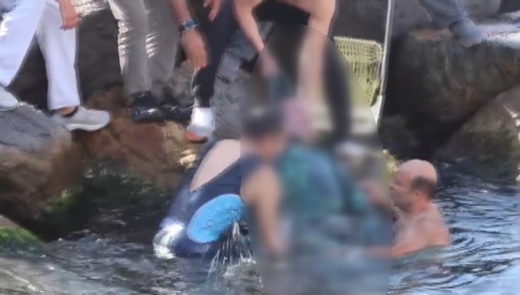 Suyun altından çıkamadı: Üsküdar'da zıpkın avında korkunç olay