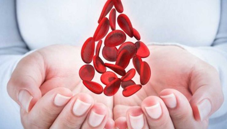 Thalassaemia Derneği’nden acil kan bağışı çağrısı