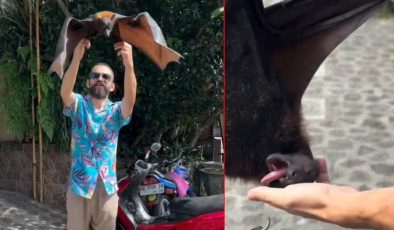 Türk Youtuber'ı en tehlikeli yarasa ısırdı: Herkesi COVID-19 korkusu sardı