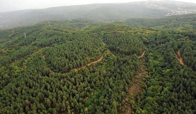 Türkiye’de 27 ili ilgilendiren yeni karar: İstanbul ve Ankara dahil 27 il listede