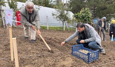 Türkiye'nin yeni altın yumurtlayan şehri: Toprağından servet fışkırıyor