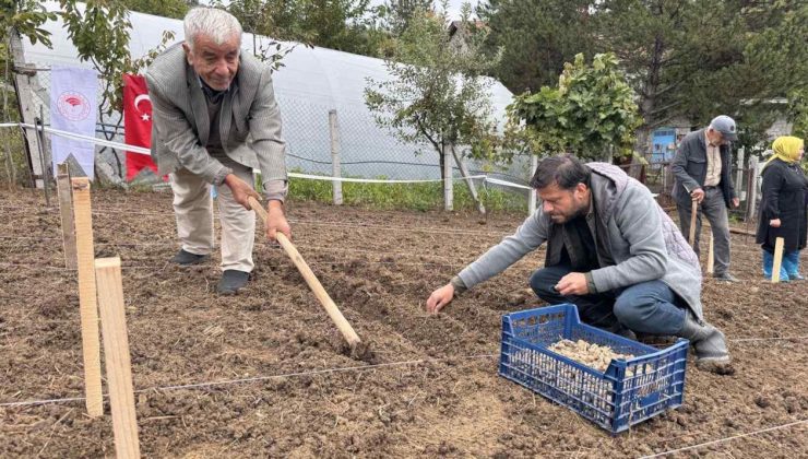 Türkiye'nin yeni altın yumurtlayan şehri: Toprağından servet fışkırıyor