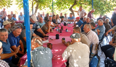 Üreticiler karar aldı, ürünler dalda kaldı: 10 gün boyunca toplanmayacak