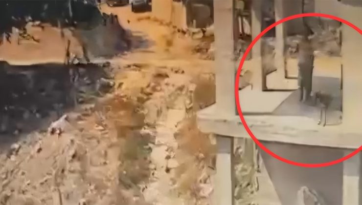 Vicdansızlığın da bu kadarı! İnşaatta uyuyan köpeğe sopayla saldırdı