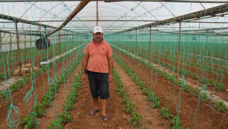 Yıllardır ektikleri ürünü bir kalemde sildiler: Çiftçilerin istediği kilo fiyatı ağızları açık bıraktı