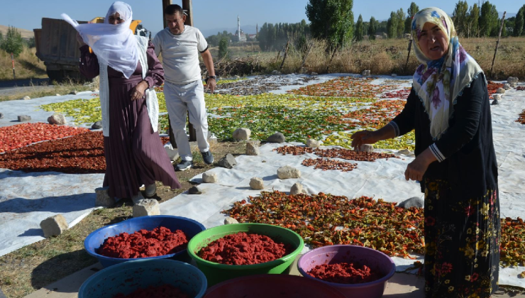 Yol kenarında başladı, gelir kapısı oldu: Avrupa'ya gönderiliyor