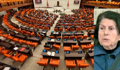 78 yaşındaki fon mağduru Rahime teyzenin Meclis’e girmesi yasaklandı