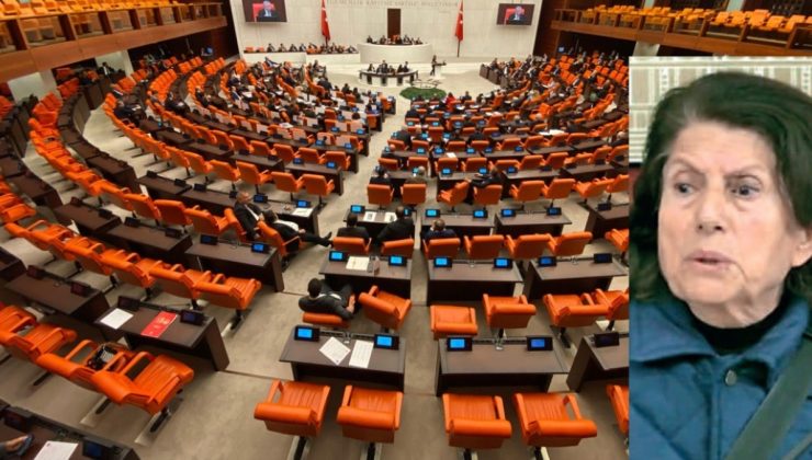 78 yaşındaki fon mağduru Rahime teyzenin Meclis’e girmesi yasaklandı