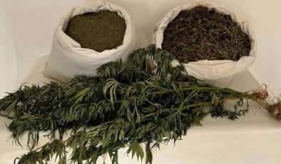 Adana'da uyuşturucu operasyonu: 100 kilogram esrar ele geçirildi