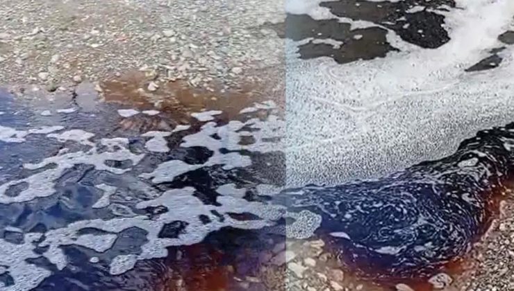 Görüntüler Türkiye'den: Deniz yüzeyi kırmızıya boyandı