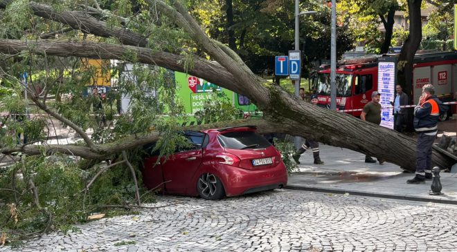 Harbiye'de korkutan anlar! Ağaç park halindeki otomobilin üzerine devrildi