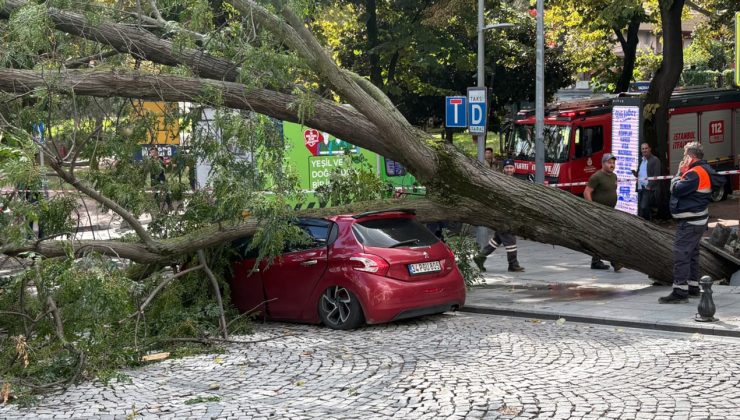 Harbiye'de korkutan anlar! Ağaç park halindeki otomobilin üzerine devrildi