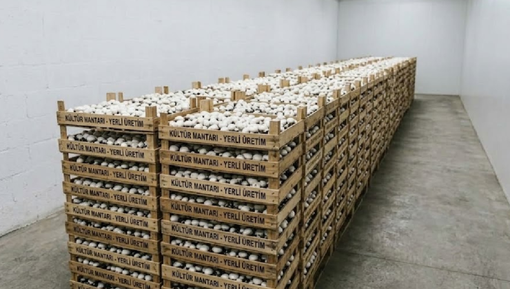 Hobi olarak başlayıp 100 bin lira kazanıyorlar: Birkaç kasa yetiyor